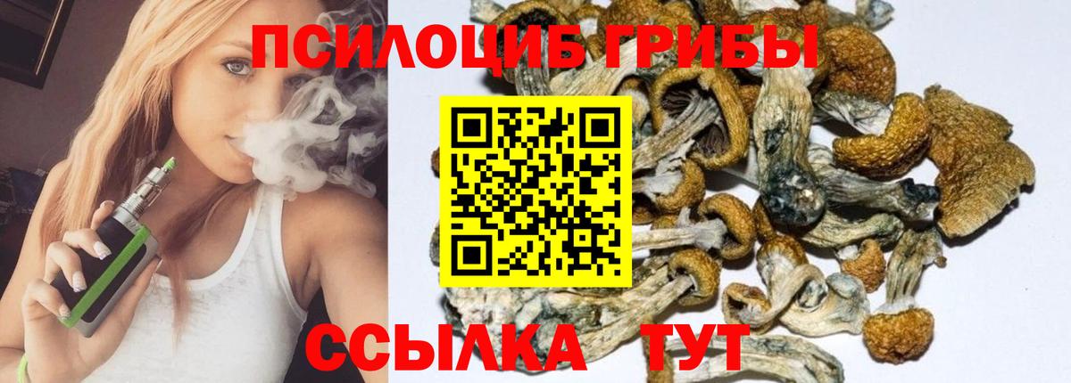 Курчатов  Псилоцибиновые грибы Magic Shrooms  Вход с VPN 